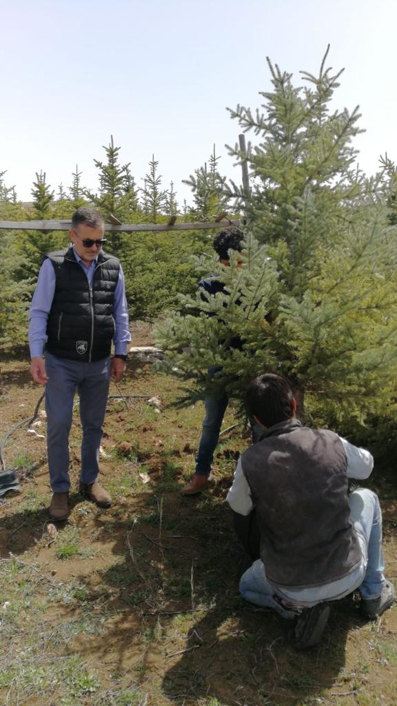 Ağaçlandırma Projelerimiz