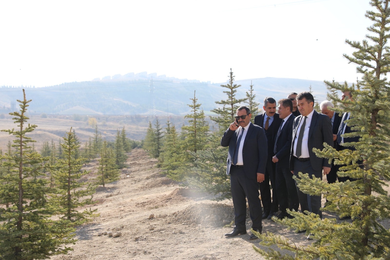 Ağaçlandırma Projelerimiz
